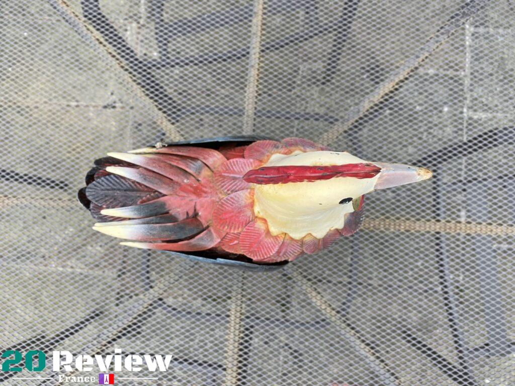 La netteté de la scène variable est forte et les couleurs sourdes du poulet sont bien perçues.