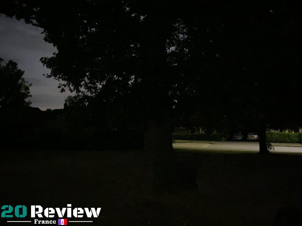 Cette scène représente la façon dont nous avons vu l'arbre la nuit - il n'y avait pas beaucoup de lumière autour.