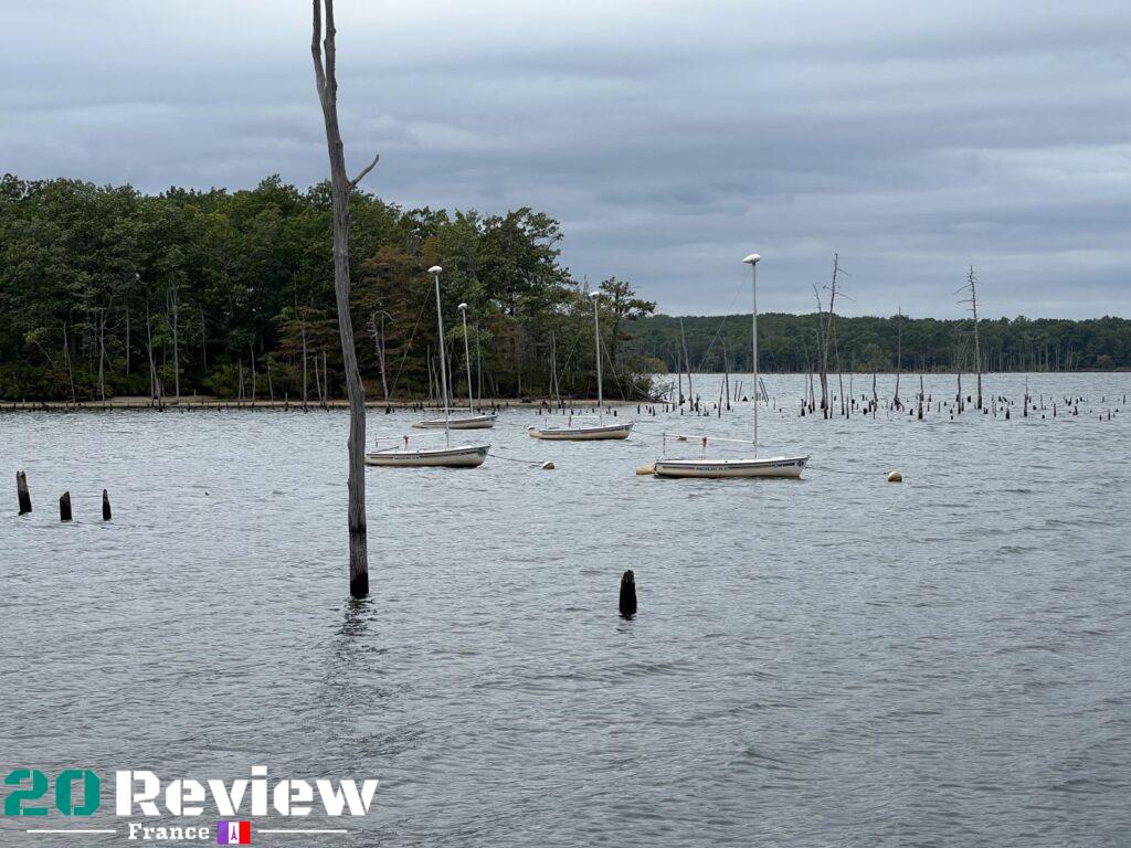 Le Zoom x3 sur l'iPhone 13 Pro Max.