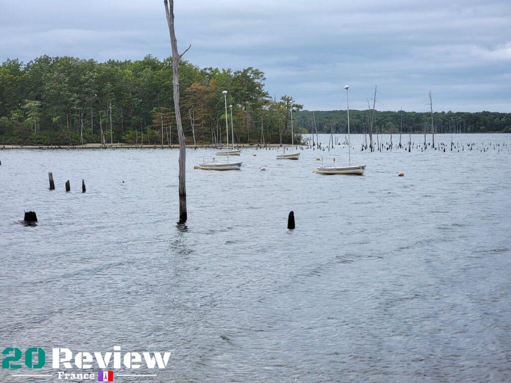 Le Zoom x3 sur le Samsung Galaxy S21 Ultra.