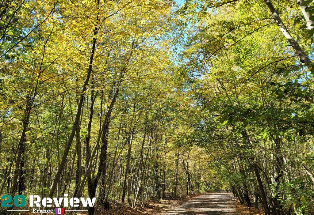 Photos Pris par Samsung Galaxy S20 Ultra.