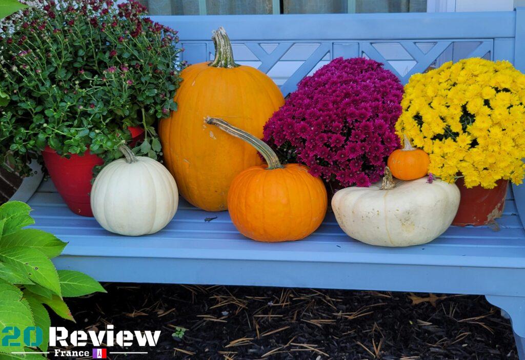 Photos Pris par Samsung Galaxy S20 Ultra.