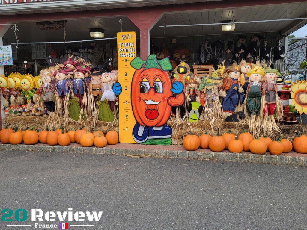 Photo Pris par Samsung Galaxy 21 Ultra