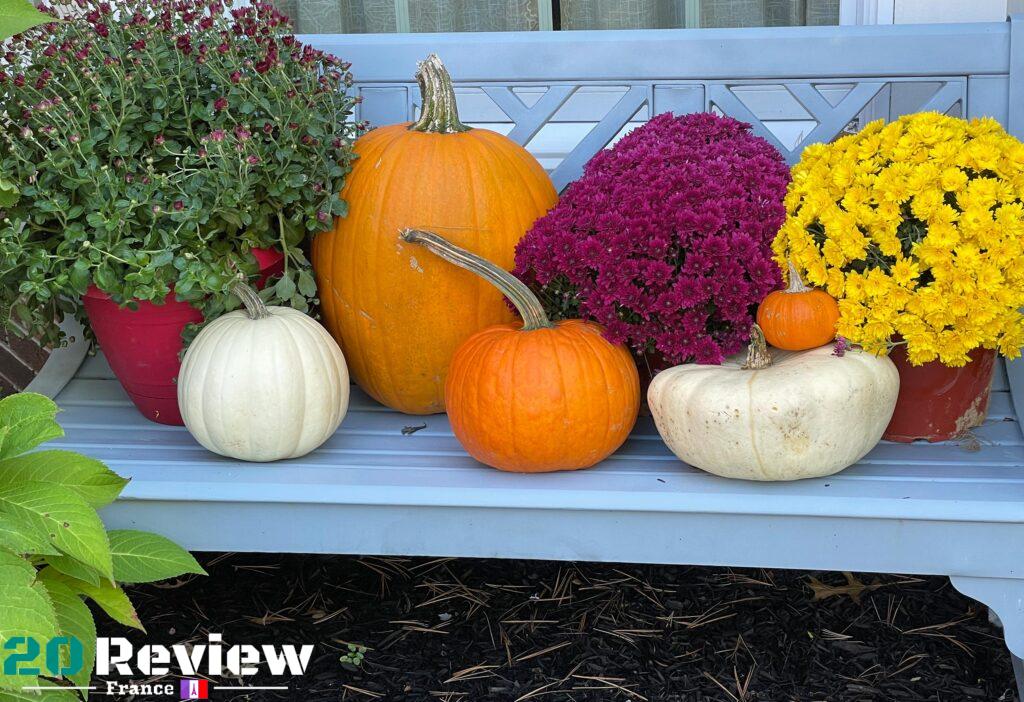 Photos Pris par iPhone 12 Pro.