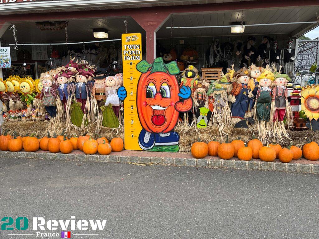 Photo Pris par l'iPhone 13