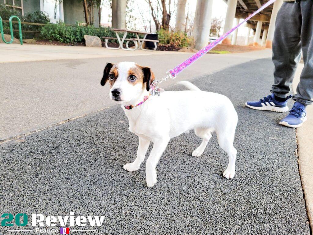 Photo Prises Par Samsung Galaxy S21.